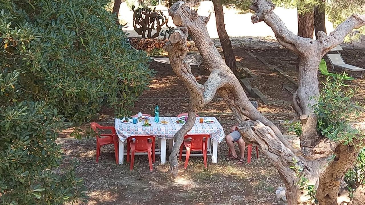 Villa Maria In Puglia Con Pineta Vicino Al Mare Torre Suda Esterno foto