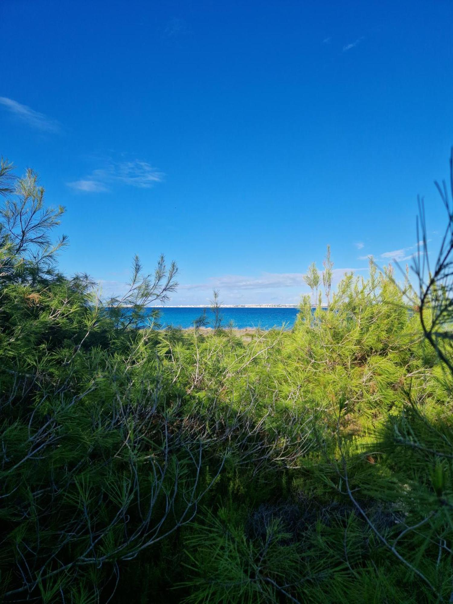 Villa Maria In Puglia Con Pineta Vicino Al Mare Torre Suda Esterno foto