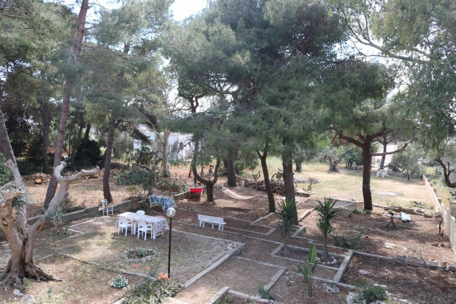 Villa Maria In Puglia Con Pineta Vicino Al Mare Torre Suda Esterno foto