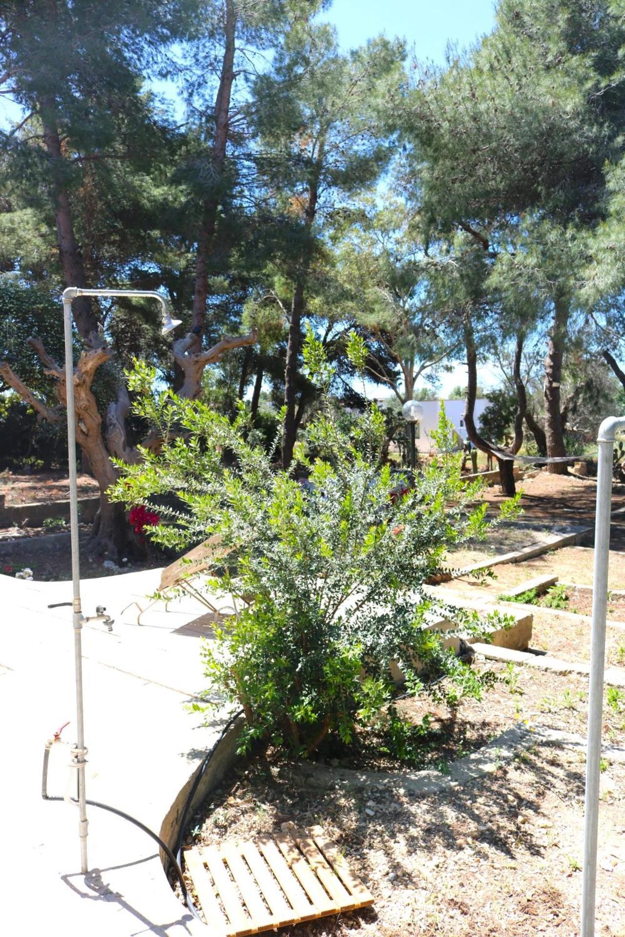 Villa Maria In Puglia Con Pineta Vicino Al Mare Torre Suda Esterno foto